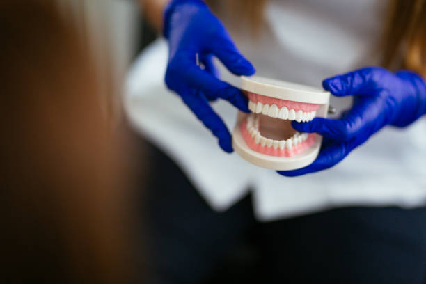 Best Traditional Braces  in Rock Hill, MO