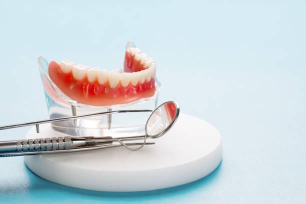 Trusted Rock Hill, MO Holistic Dental Care Services Experts